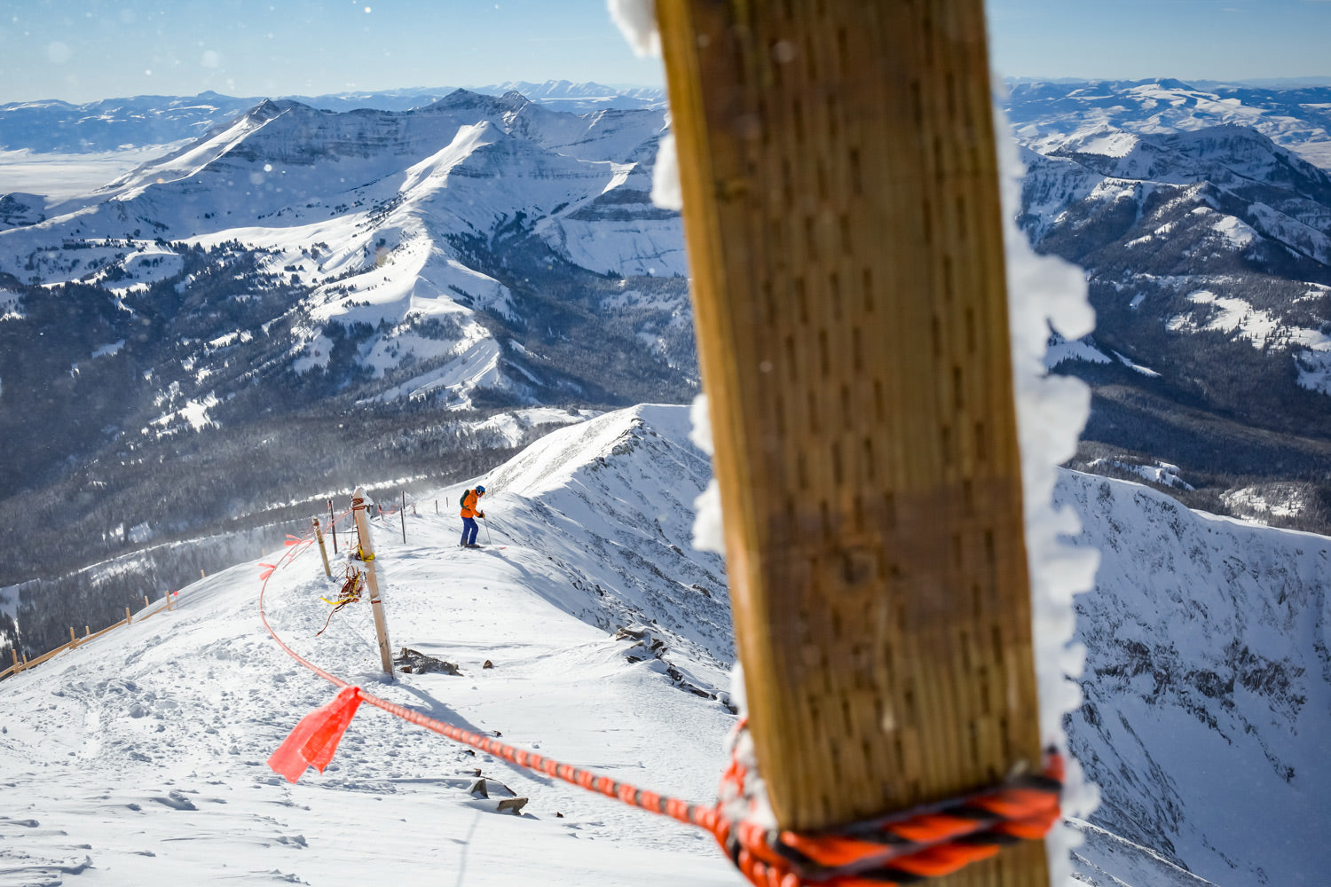 Telluride - Abbott NYC